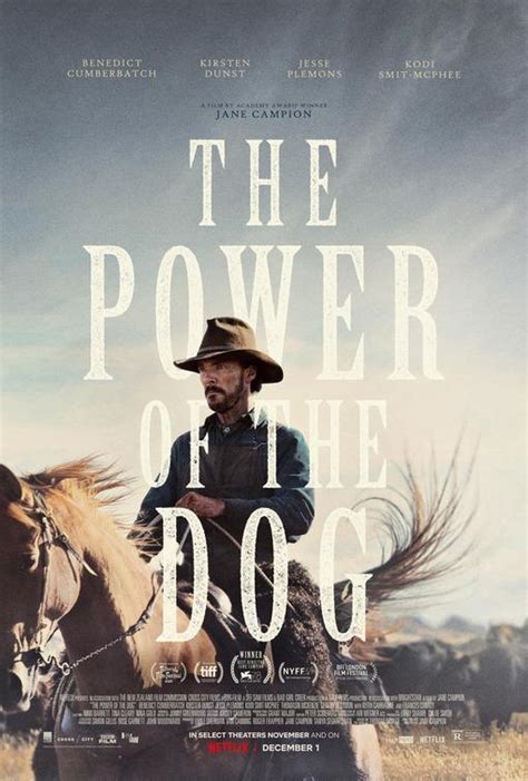 alluc the power of the dog